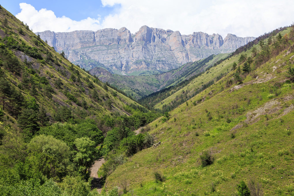 Vovnushki